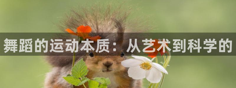 3377体育app下载安装