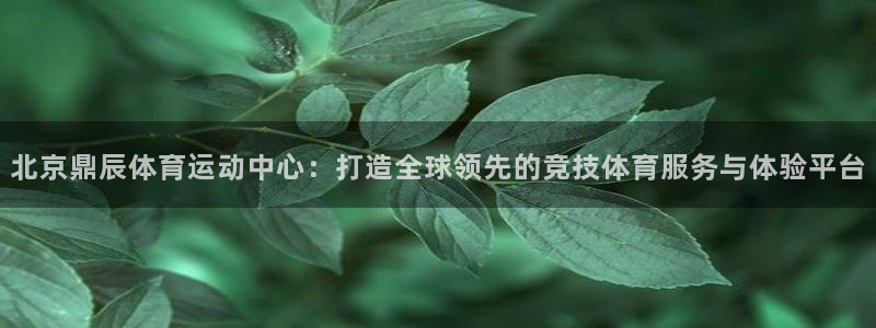3377体育app下载安装