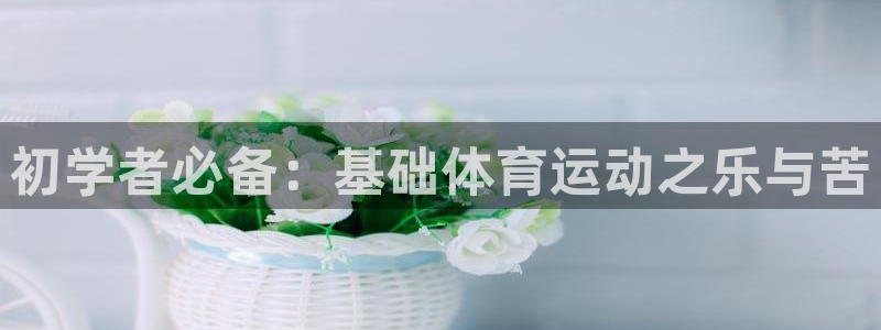 3377体育是正规平台吗