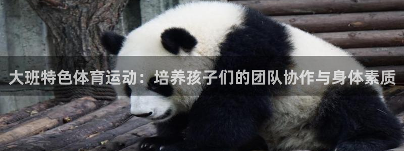 3377体育靠谱吗