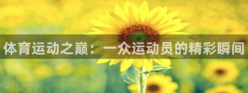 3377体育app官网下载地址