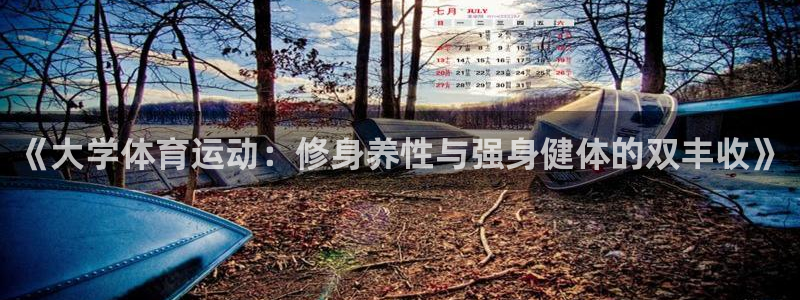 3377体育全网