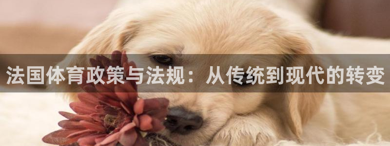 3377体育是正规平台吗