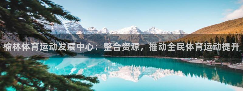 3377体育官网下载