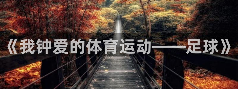 3377体育在线登录官网入口